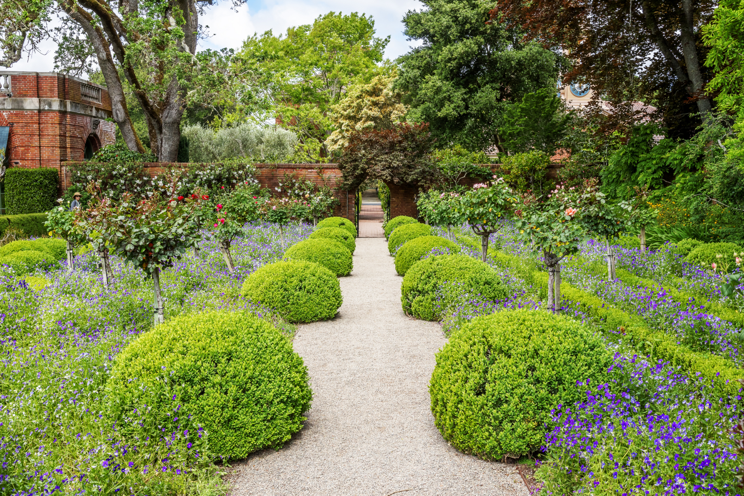 An English country garden path