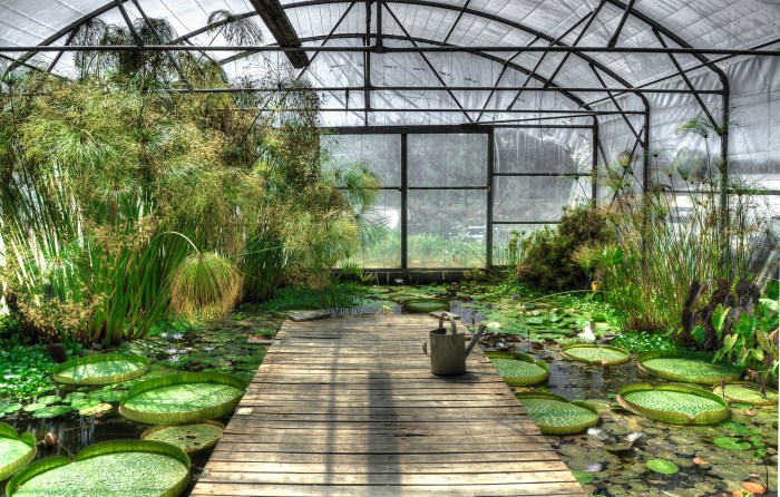 A water garden greenhouse