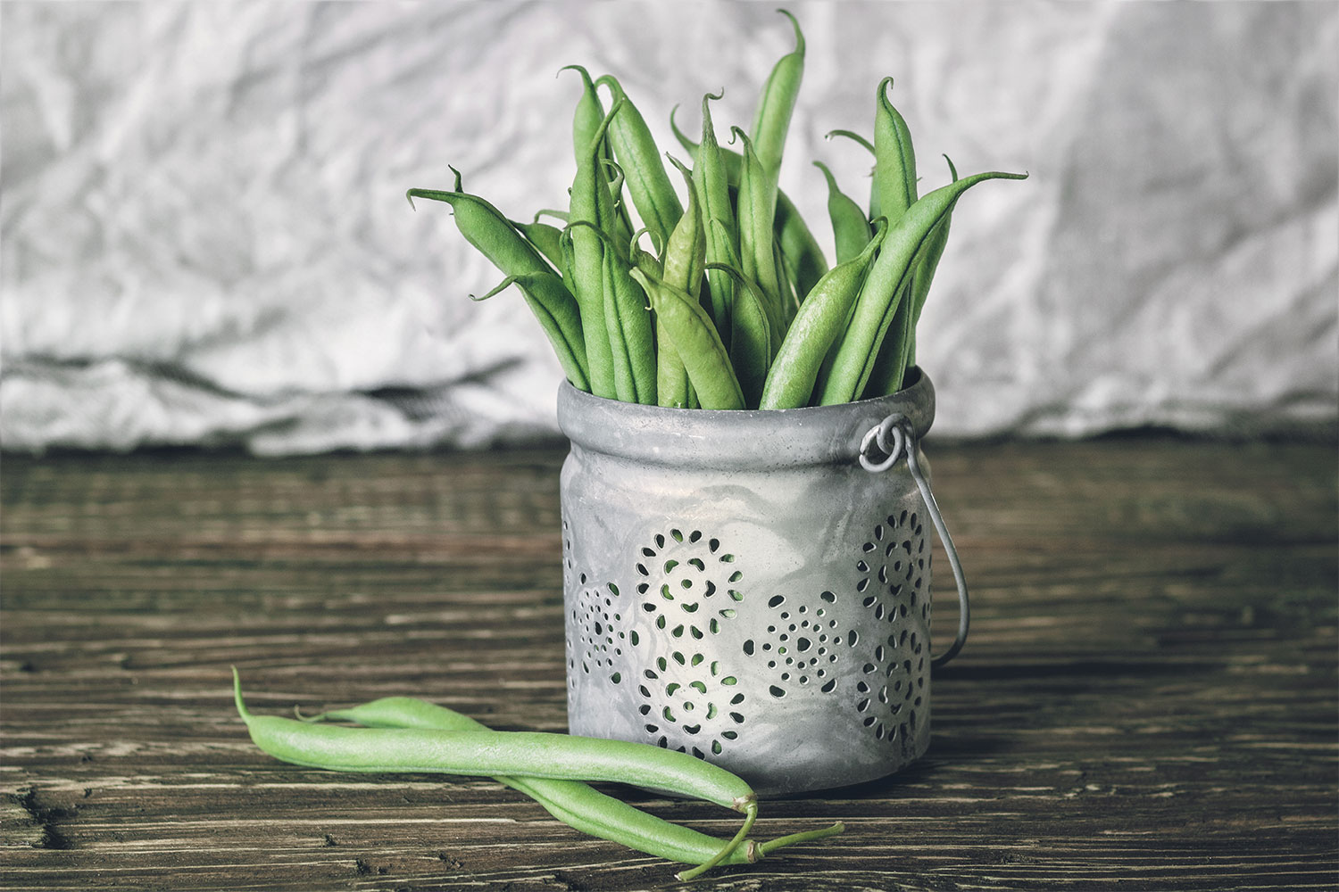 growing green beans