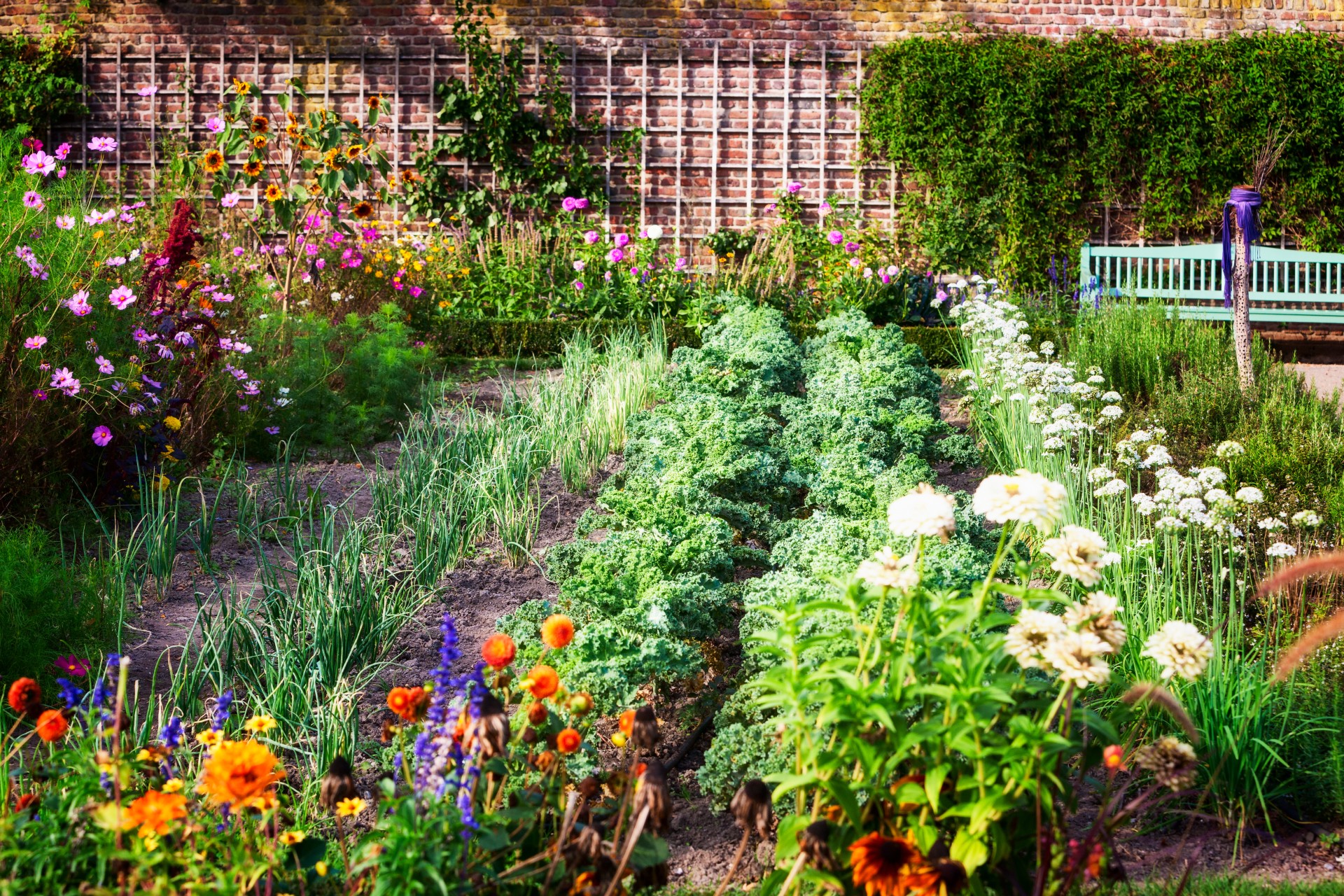 Green garden with white flowers and bench