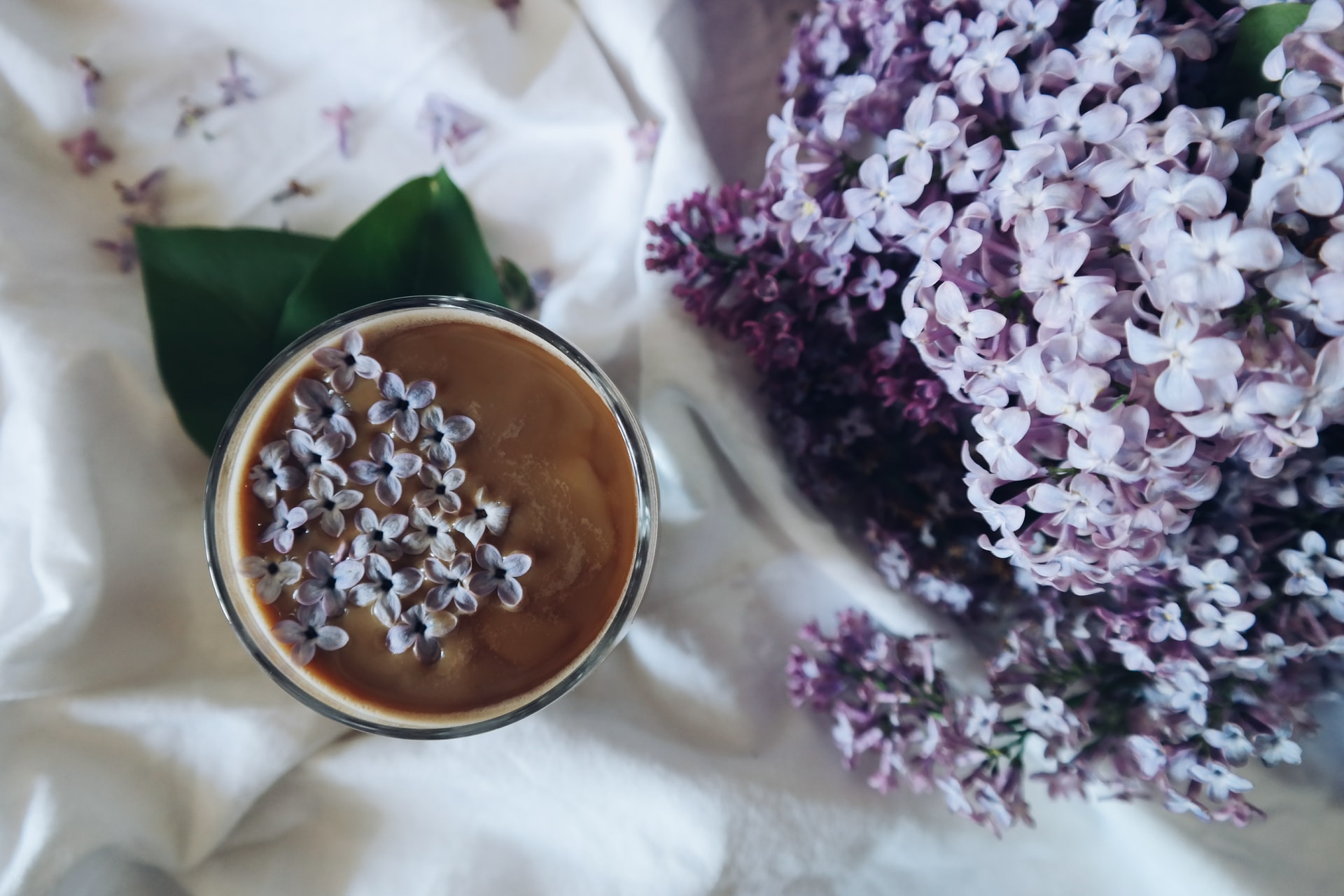 Lilac blossom next to and in coffee