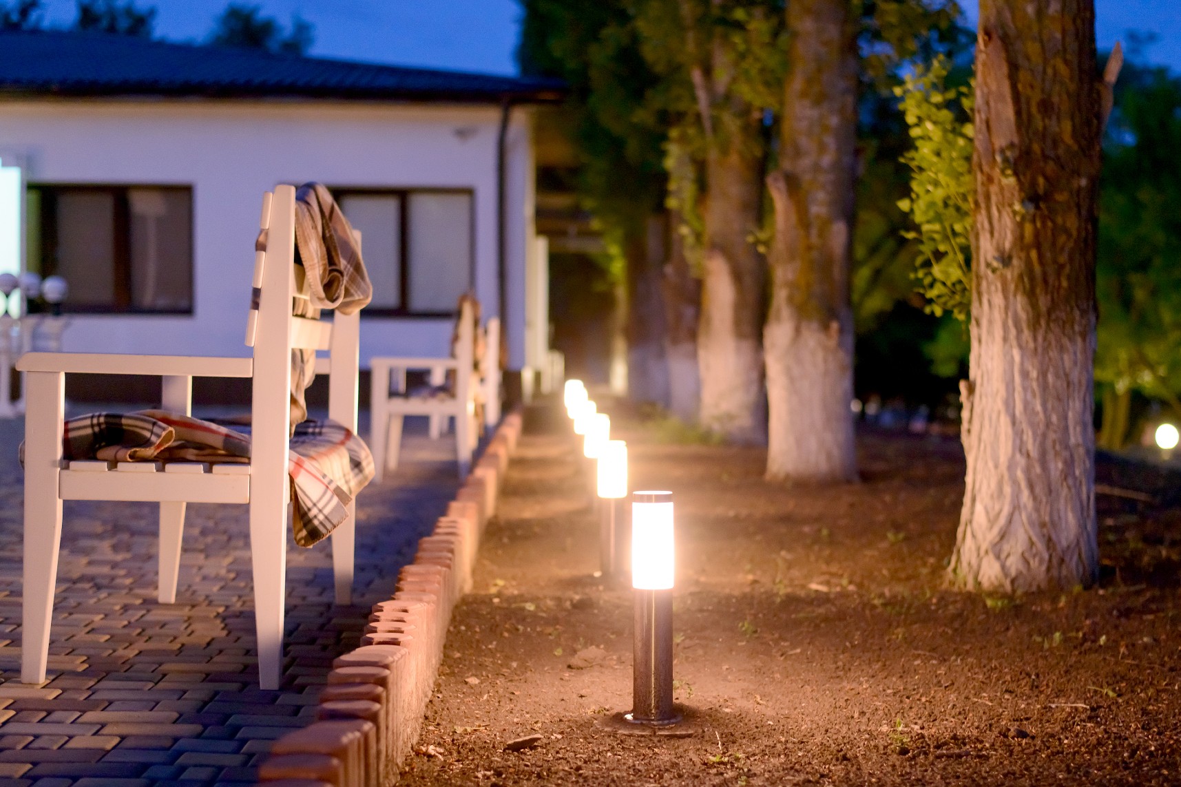 Backyard pathway with trees and outdoor lights