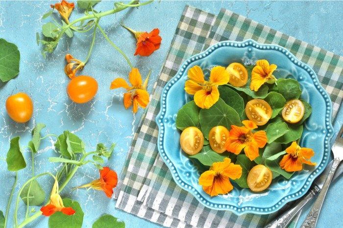 Orange nasturtium flowers and cherry tomatoes on a blue plate with a blue and white checkered napkin on a blue table