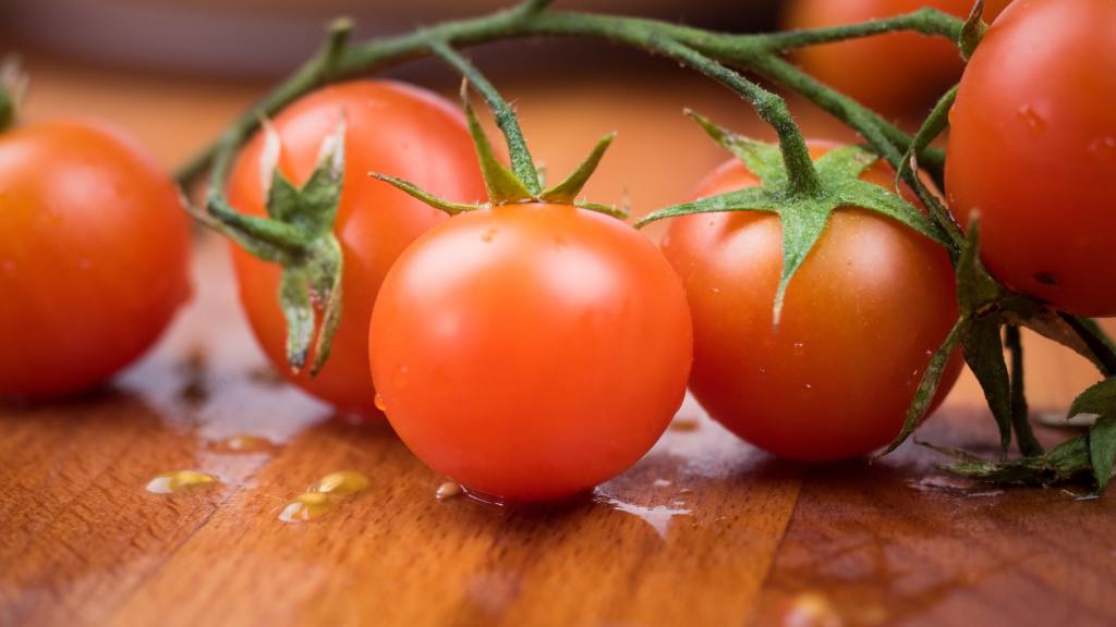 Orange tomatoes on a vine