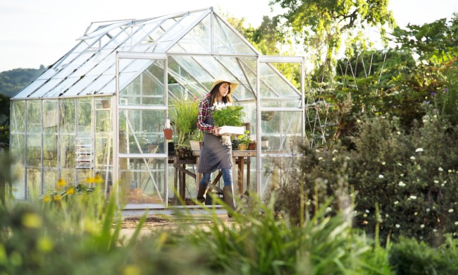 A gardener leaving a greenhouse