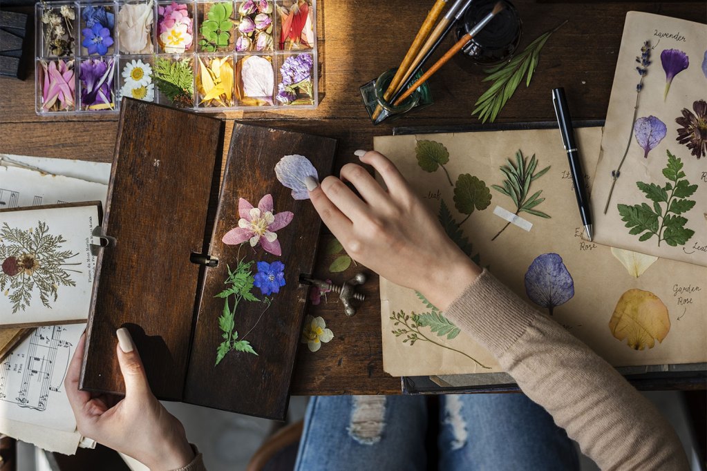Pressed flowers