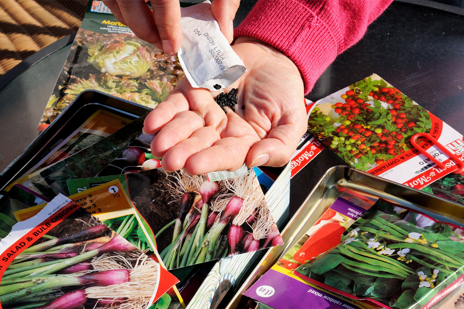 seed subscription