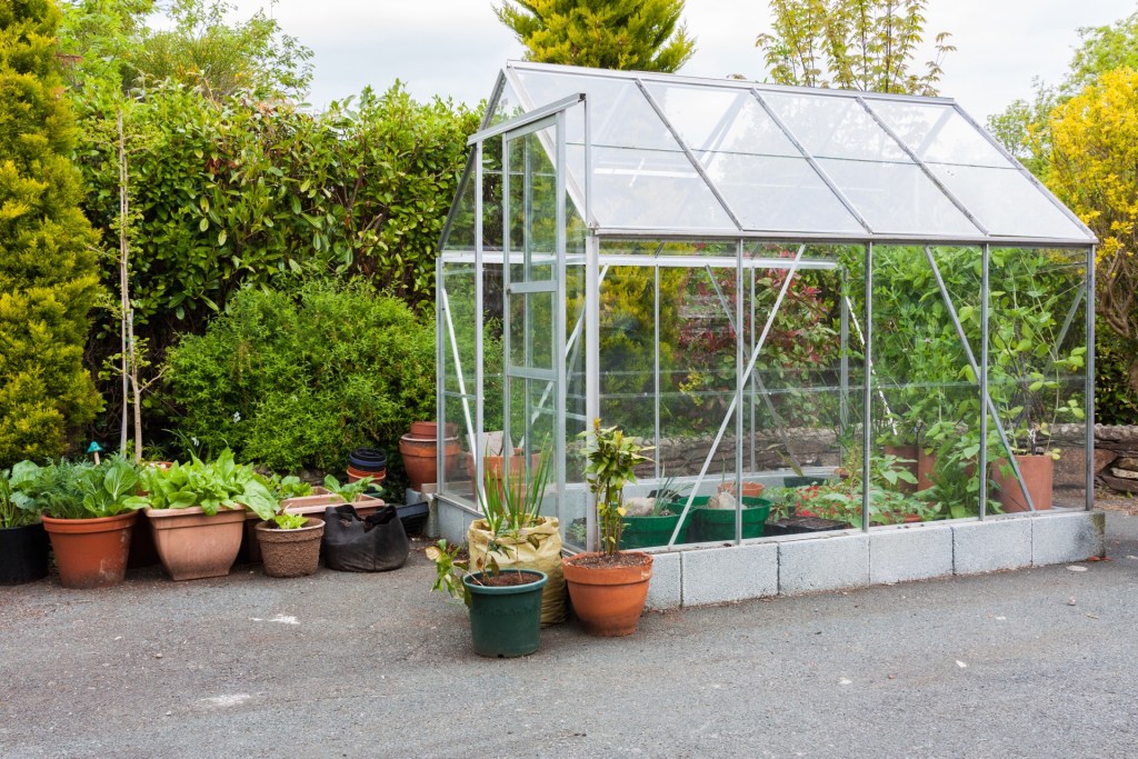 Exterior of greenhouse on concrete patio