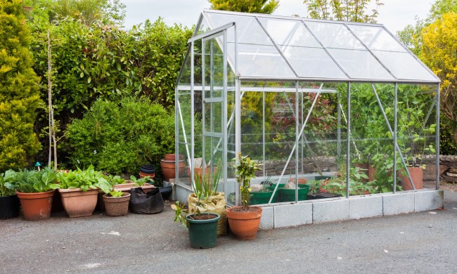 Exterior of greenhouse on concrete patio