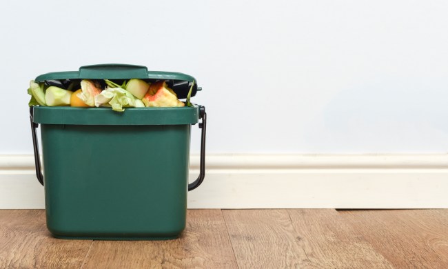 Small green compost bin indoors