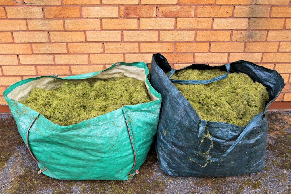 Two large canvas bags of compost and grass clippings