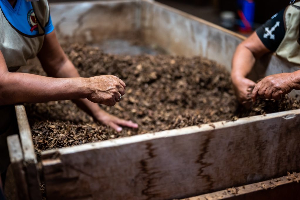 Two people with hands in large compost bin