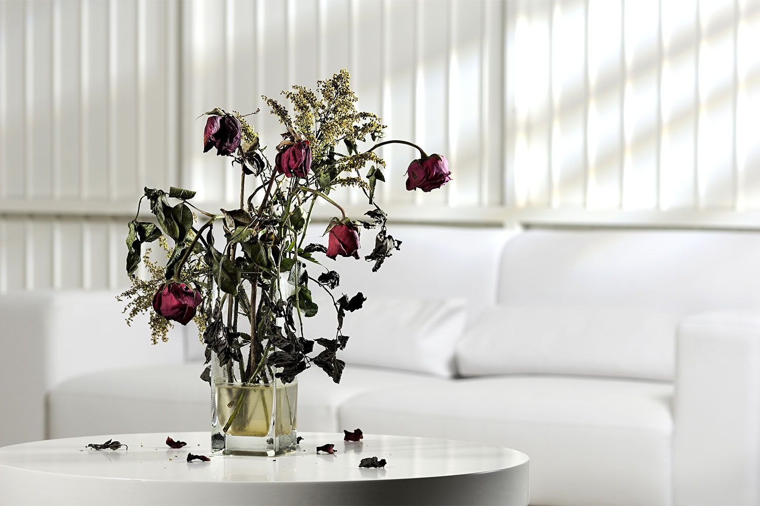 5 Eco-Friendly Ways to Get Rid of a Dying Bouquet of Flowers | HappySprout