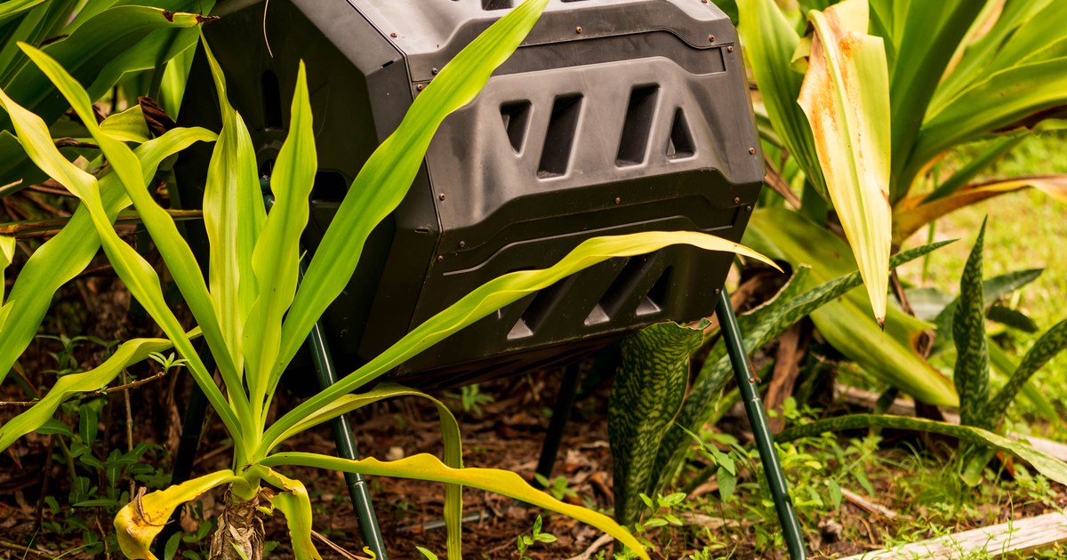 Can You Compost Orange Peels? What You Need to Know HappySprout