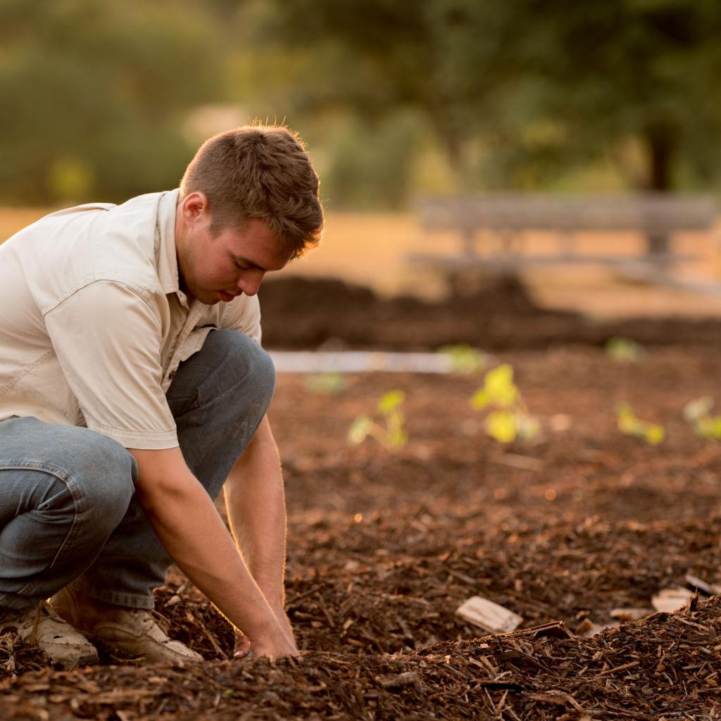 Man planting in daylight