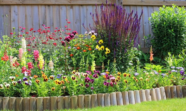 Various colorful flowers in a garden with a low wooden wall border