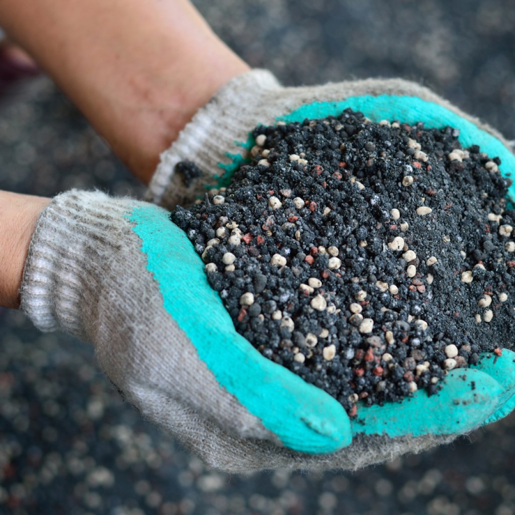 Gloved hands holding soil with different colored balls of fertilizer