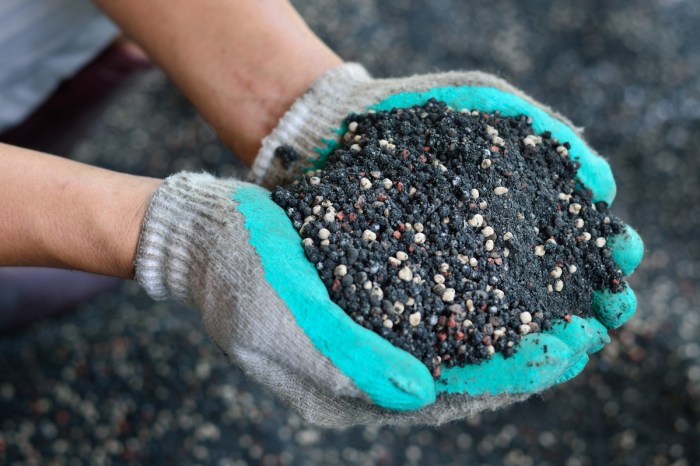 Gloved hands holding soil with different colored balls of fertilizer in it