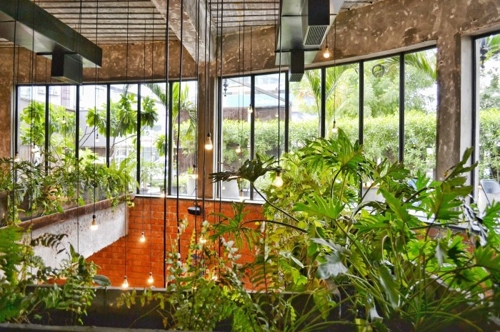 Indoor garden filled with plants