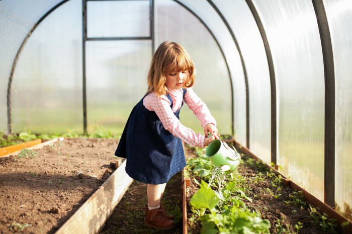 Child watering plants in polytunnel