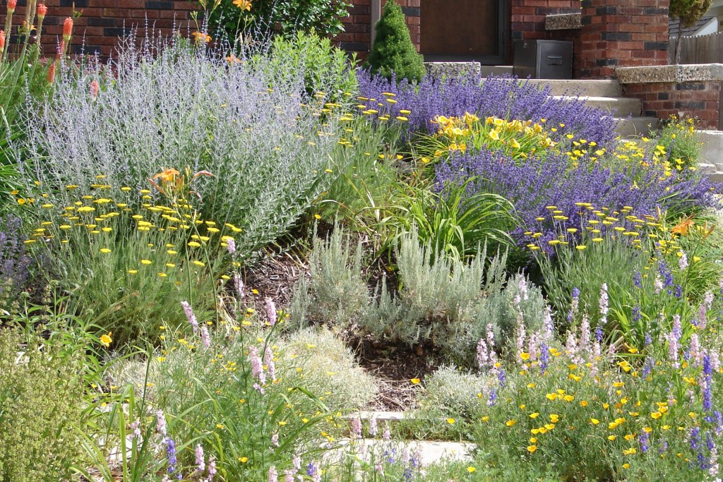 Flower garden on a sloped landscape