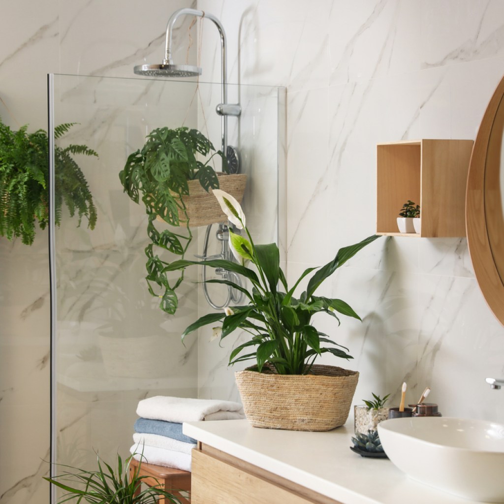 Bathroom with plants