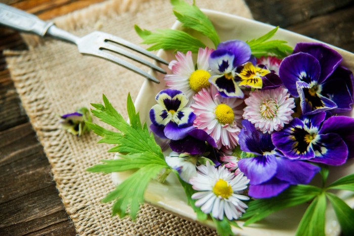 Pansies and daisies on a plate
