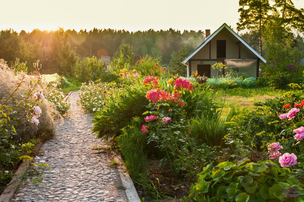 Sunlit garden path and flowers