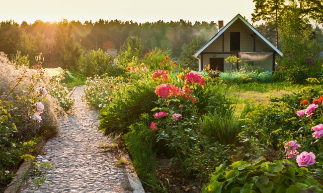 Sunlit garden path and flowers