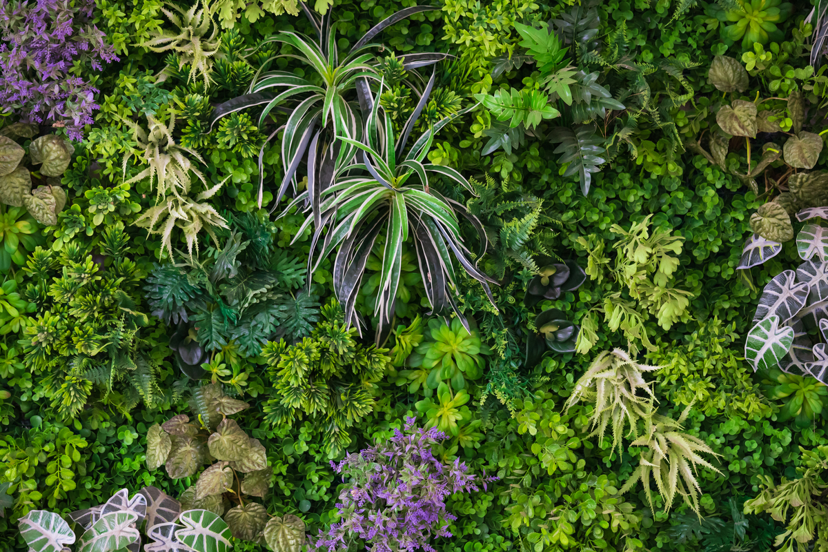 Choosing the Best Plants for Your Vertical Garden HappySprout