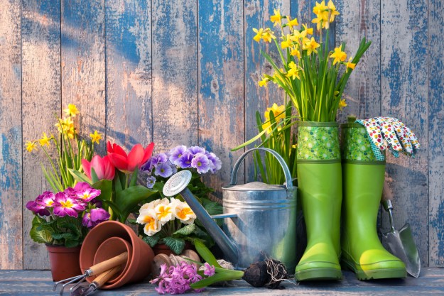 Colorful potted flowers and garden tools arranged against a wooden wall with peeling blue paint