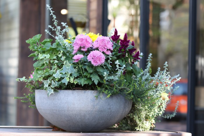 A small bowl shaped planter with autumn flowers, mainly light green, light pink, and dark pink.