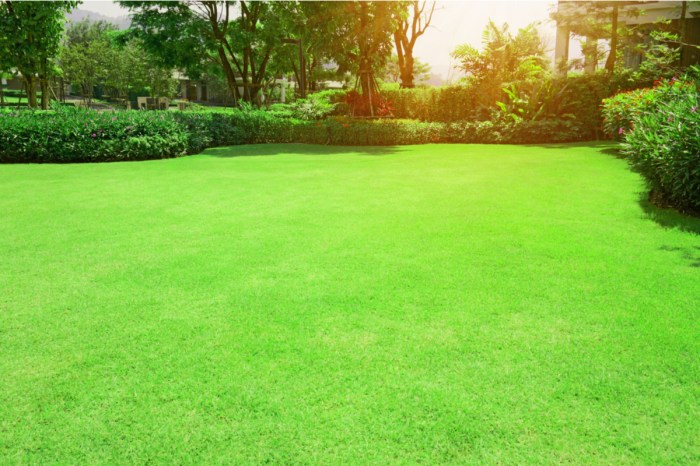 Manicured Bermuda lawn