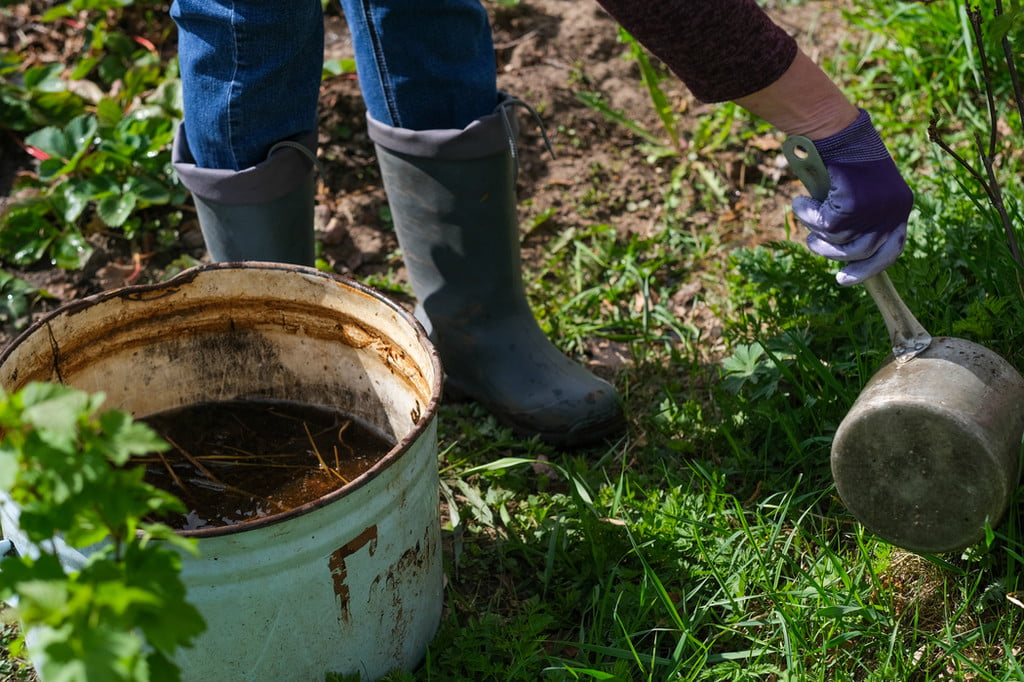 Applying compost