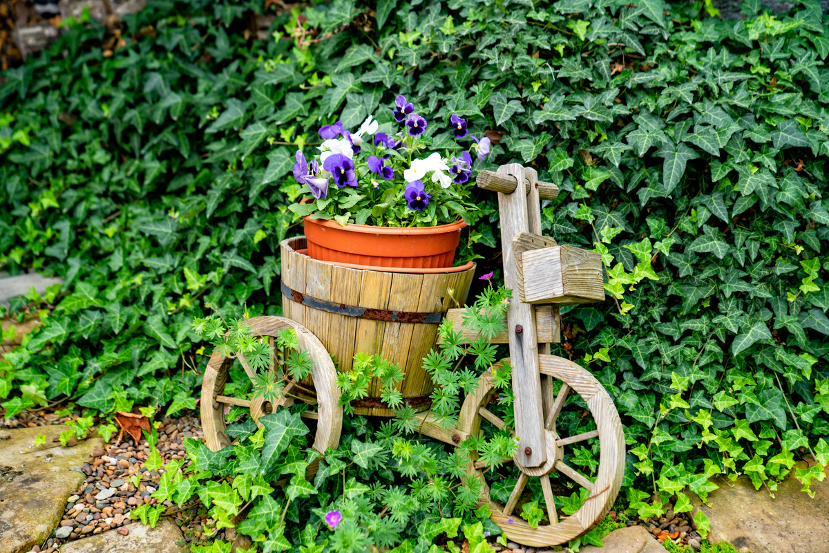 A small, cute bike planter