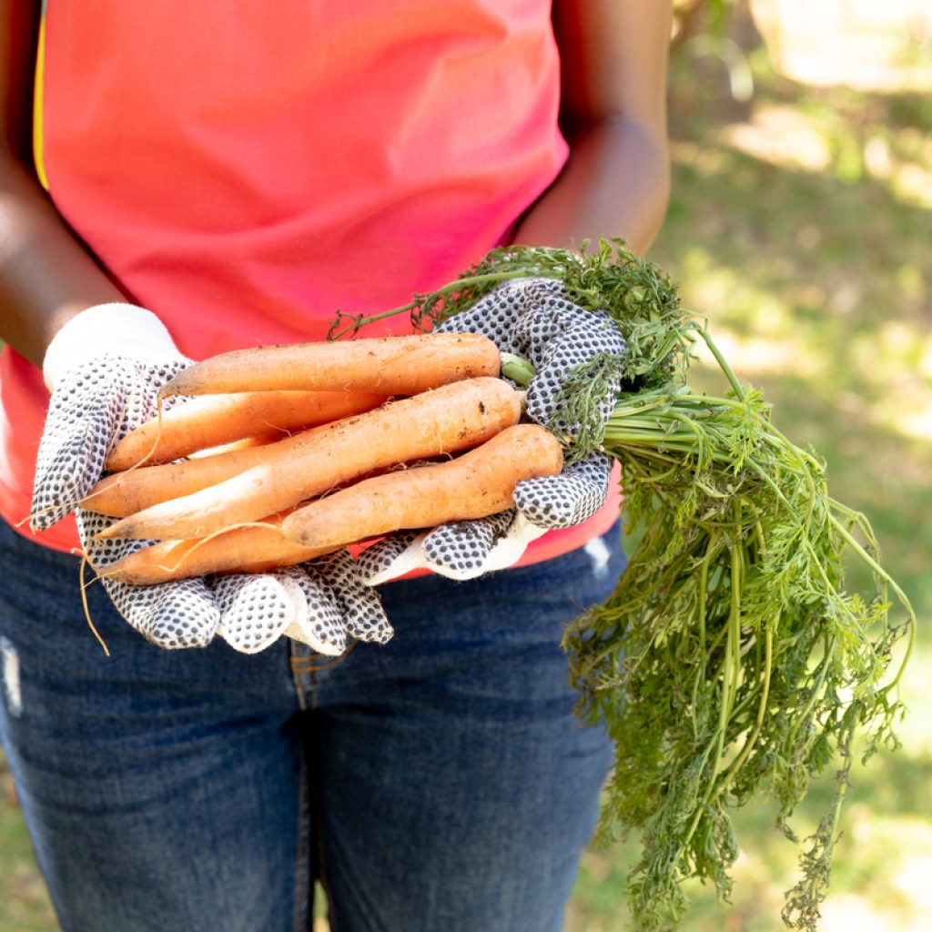 woman in a garden holding carrots