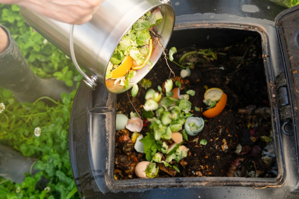 adding scraps to a compost bin