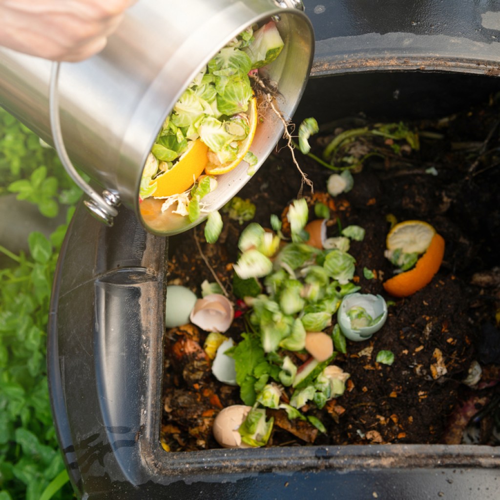 adding scraps to a compost bin