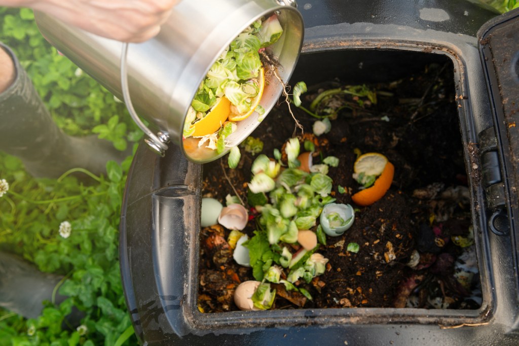 Adding scraps to a compost bin