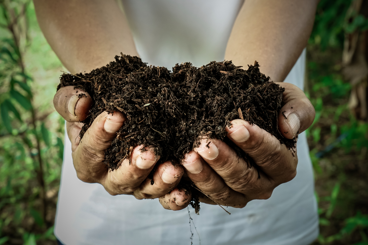 hands holding compost