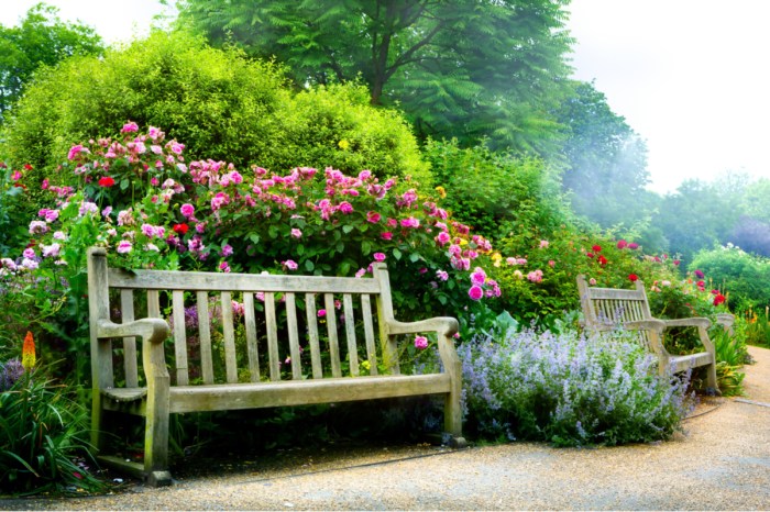 A bench in an English garden