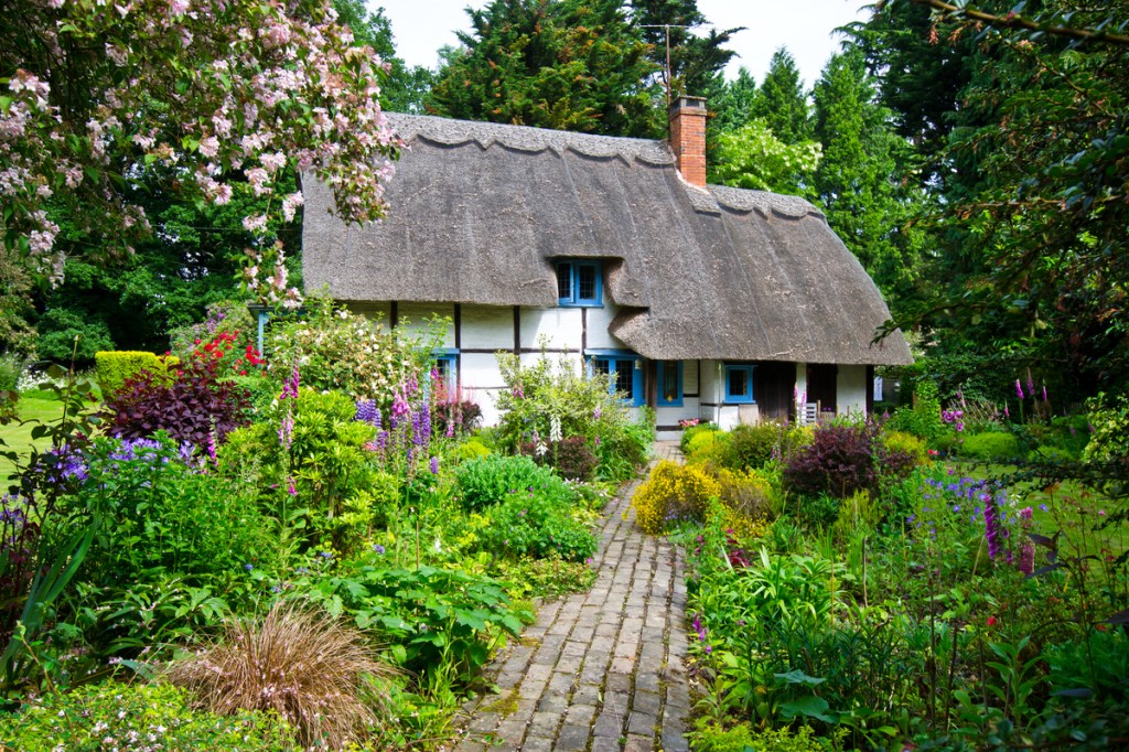 Cottage garden