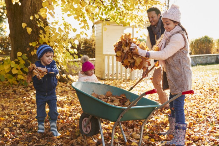 Family collecting fallen leaves