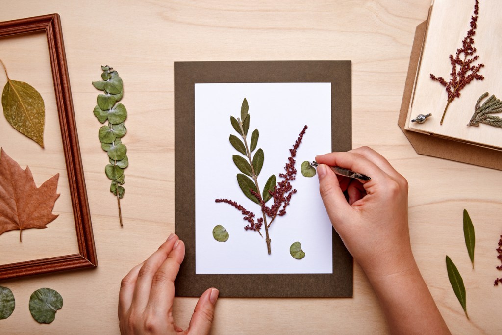 Placing pressed flowers in a frame