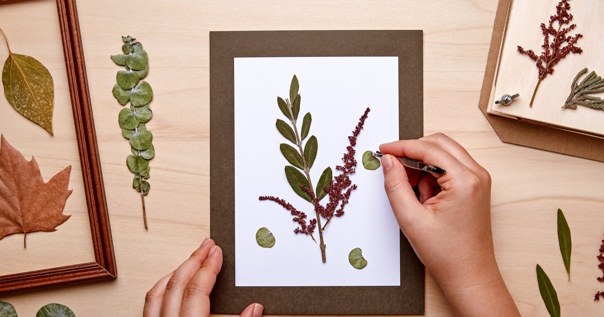 What can you do with your dead flowers? More than you think HappySprout