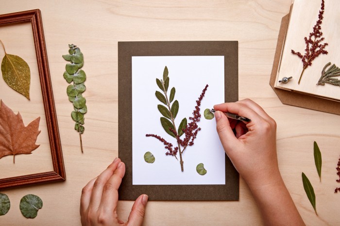 placing pressed flowers in a frame