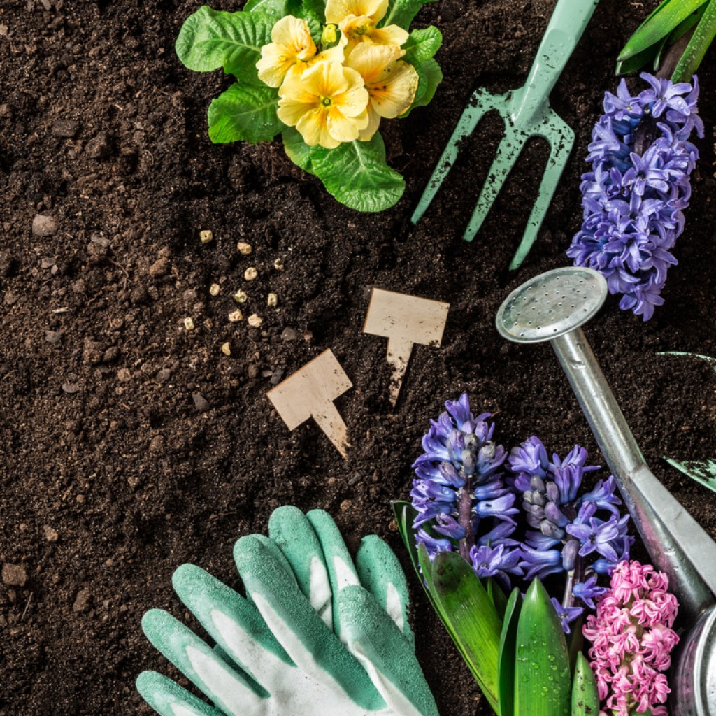 Metal gardening tools, gardening gloves, and several colorful flowers arranged on a patch of soil