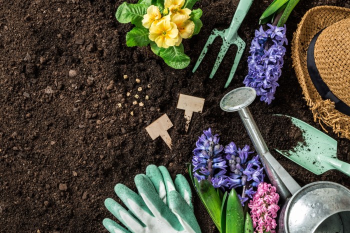 Metal gardening tools, gardening gloves, and several colorful flowers arranged on a patch of soil