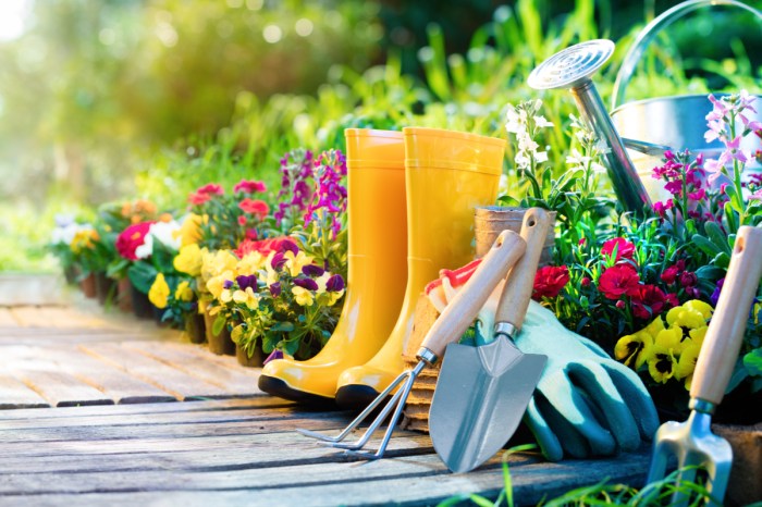 Yellow boots, metal garden tools, green gloves, and a metal watering can in a flower bed next to a wooden garden path