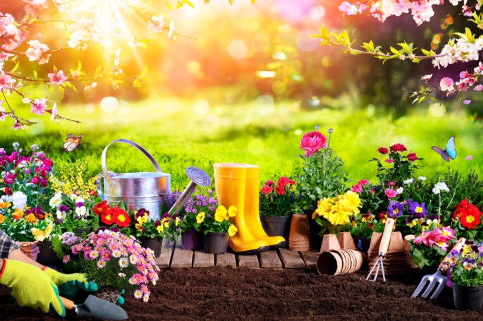 Yellow boots, metal garden tools and watering can, and assorted potted flowers in front of a patch of dirt. A gloved hand scoops some of the dirt in a little shovel.